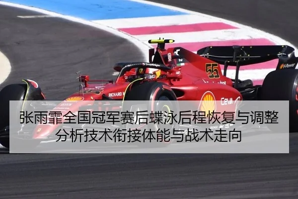 张雨霏全国冠军赛后蝶泳后程恢复与调整分析技术衔接体能与战术走向